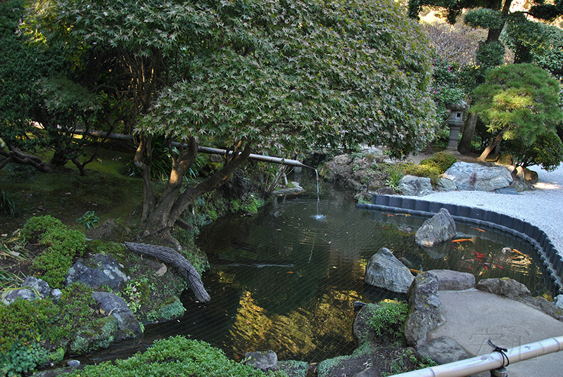 tsukubai in Japanese garden