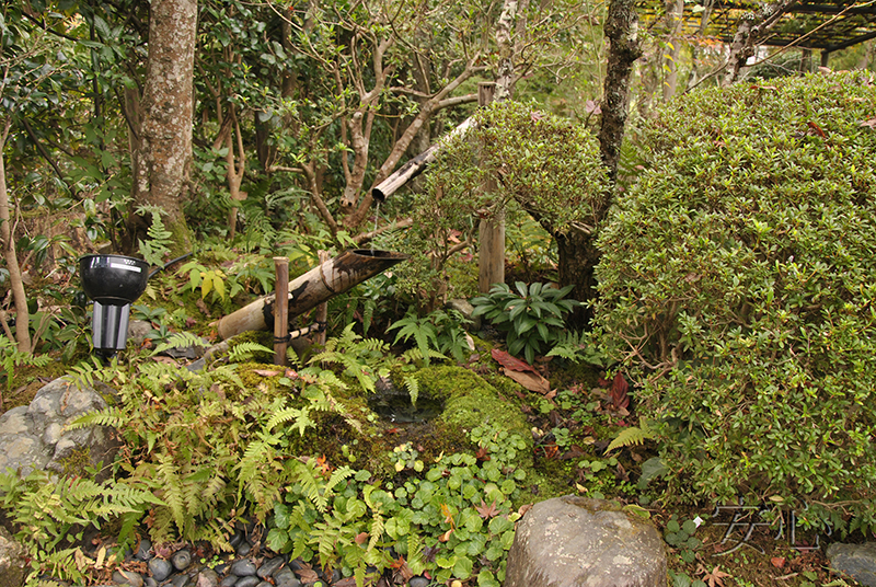 shishi-odoshi in Japanese garden