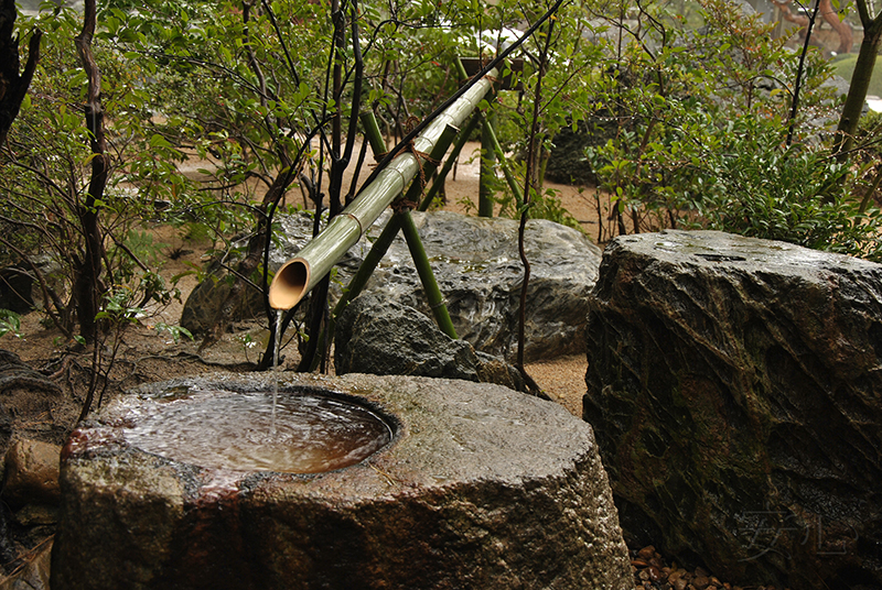 tsukubai in Japanese garden