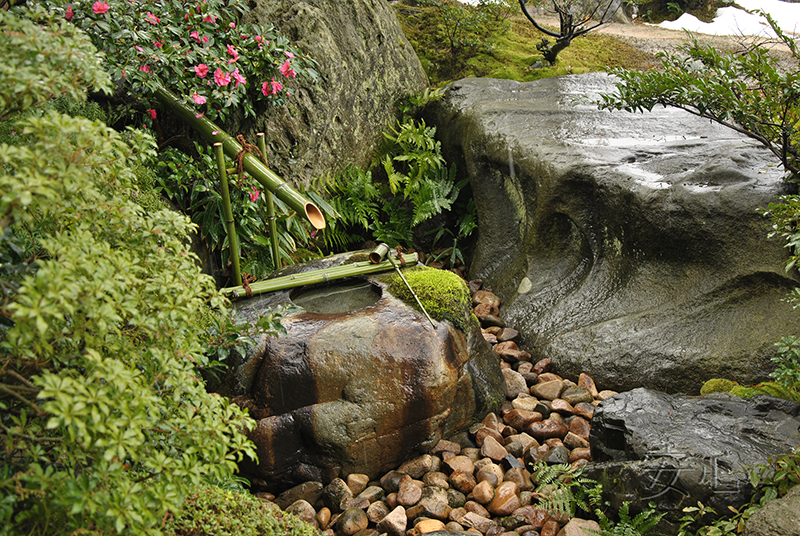 tsukubai in Japanese garden