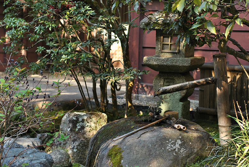 tsukubai in Japanese garden