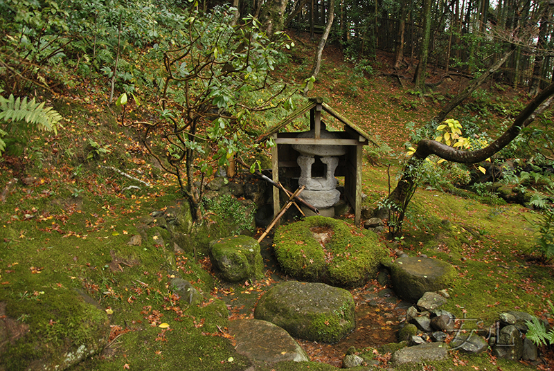 tsukubai in Japanese garden