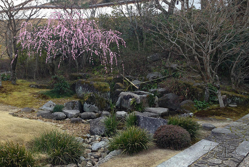 tsukubai in Japanese garden