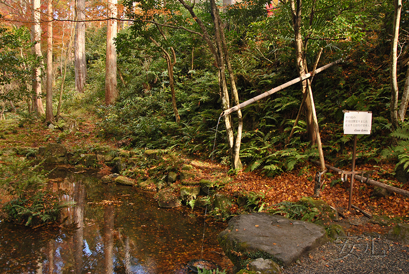 tsukubai in Japanese garden