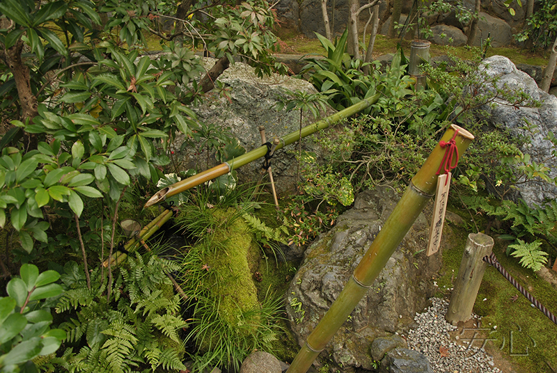 tsukubai in Japanese garden