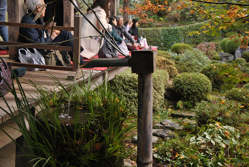 tsukubai in Japanese garden