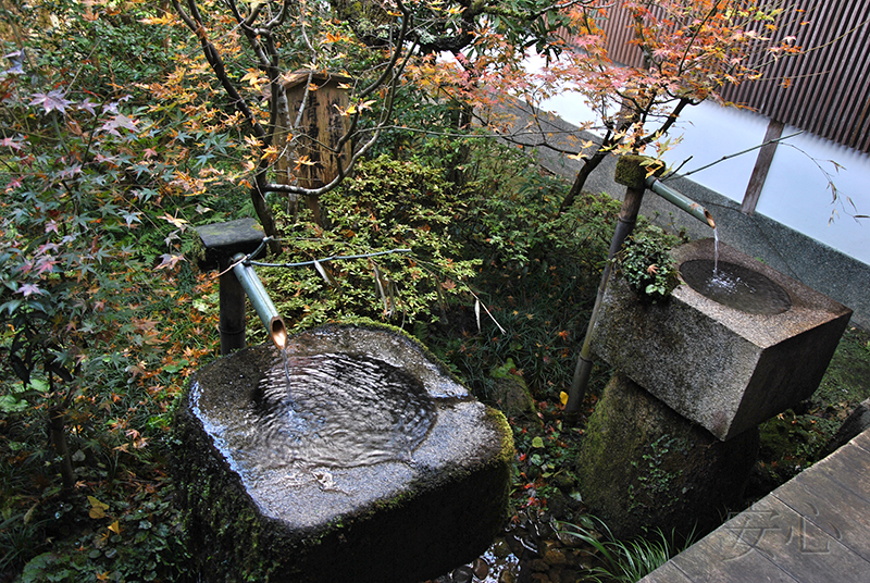 tsukubai in Japanese garden