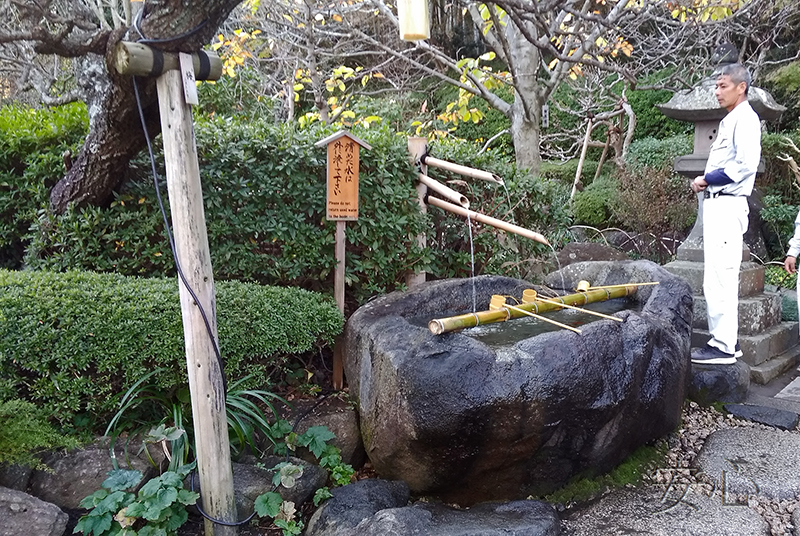 tsukubai in Japanese garden