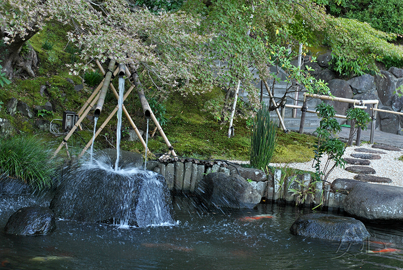 tsukubai in Japanese garden