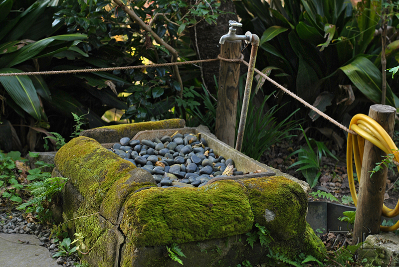 tsukubai in Japanese garden