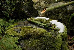 водные устройства в японских садах