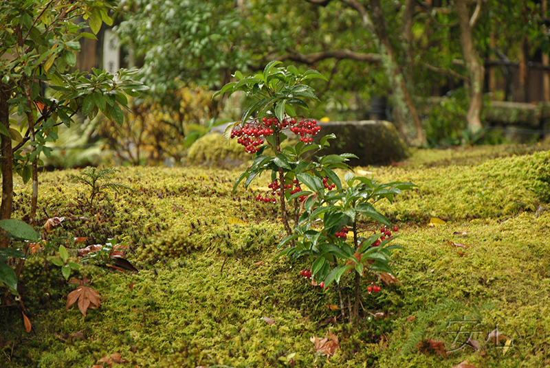 Yoshiki-en Garden