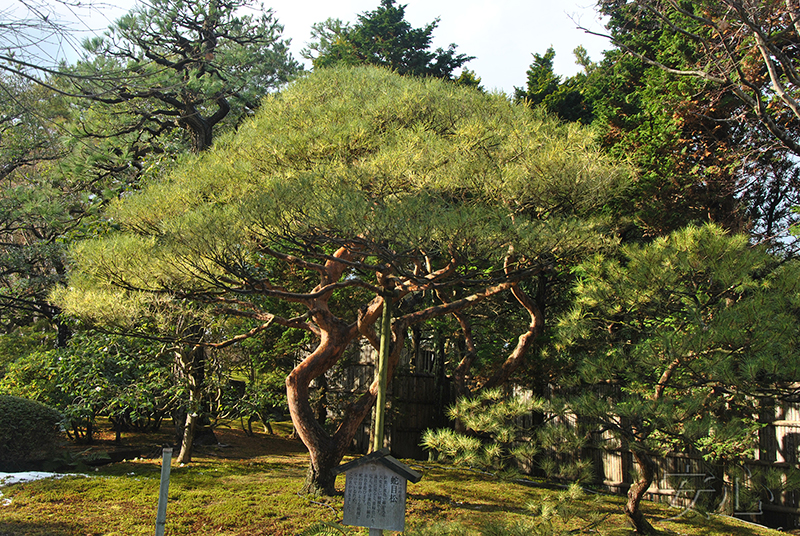 Yuushien Garden