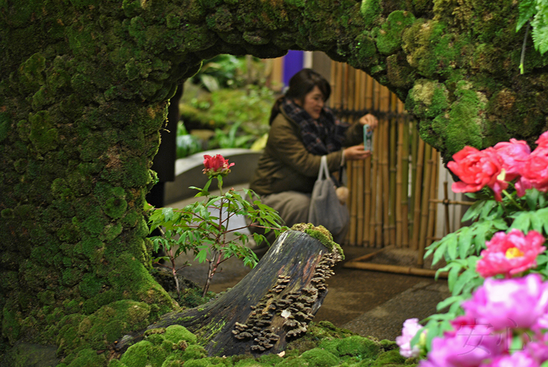 Yuushien Garden