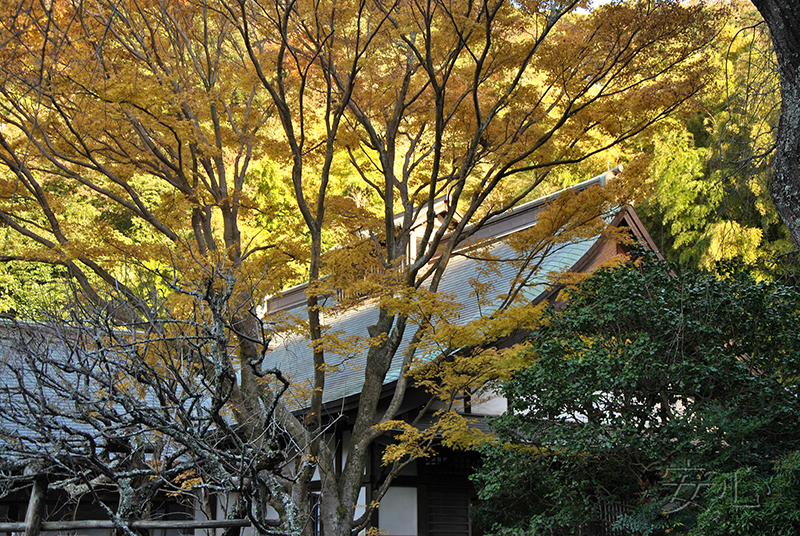 Zuisen-ji Temple Garden