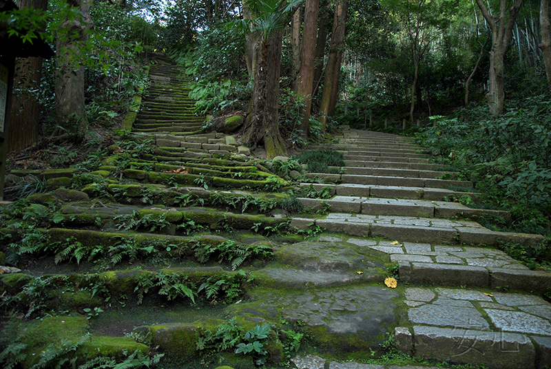 Zuisen-ji Temple Garden