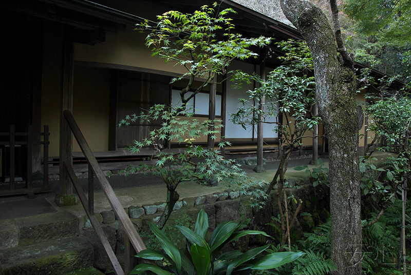 Zuisen-ji Temple Garden