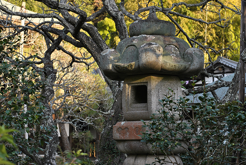 Zuisen-ji Temple Garden