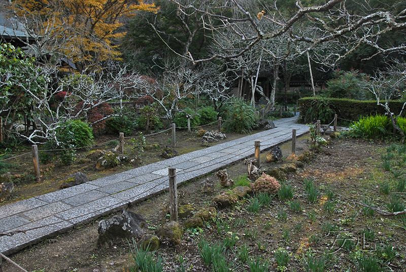 Zuisen-ji Temple Garden