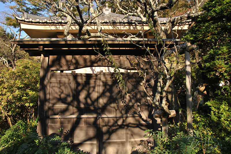 Zuisen-ji Temple Garden